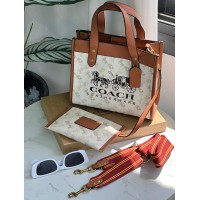 حقيبة نسائية مميزه 2013994