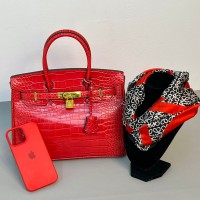 حقيبة نسائية مميزه 2014325