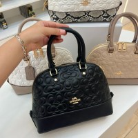 حقيبة نسائية مميزه 2014330