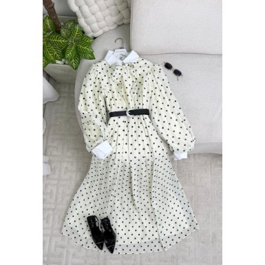 فستان ستاتي أنيق 1011332